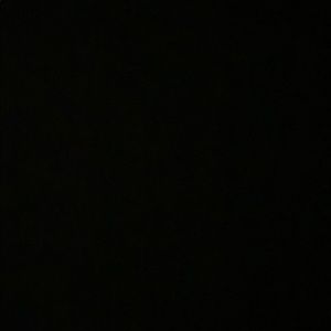 Meet your Posher, Stella